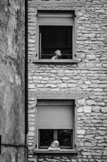 B_W 2012 Provenza_027.jpg