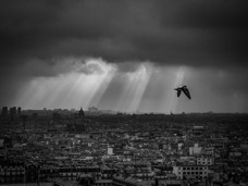 B_W 2012 Parigi_024.jpg