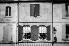 B_W 2014 Camargue_016.jpg