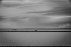 B_W 2014 Camargue_086.jpg