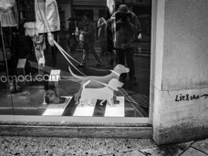 B_W 2012 Vienna_043.jpg